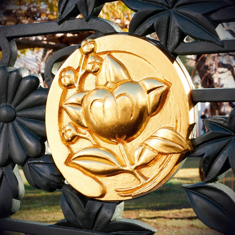 The tachibana crest